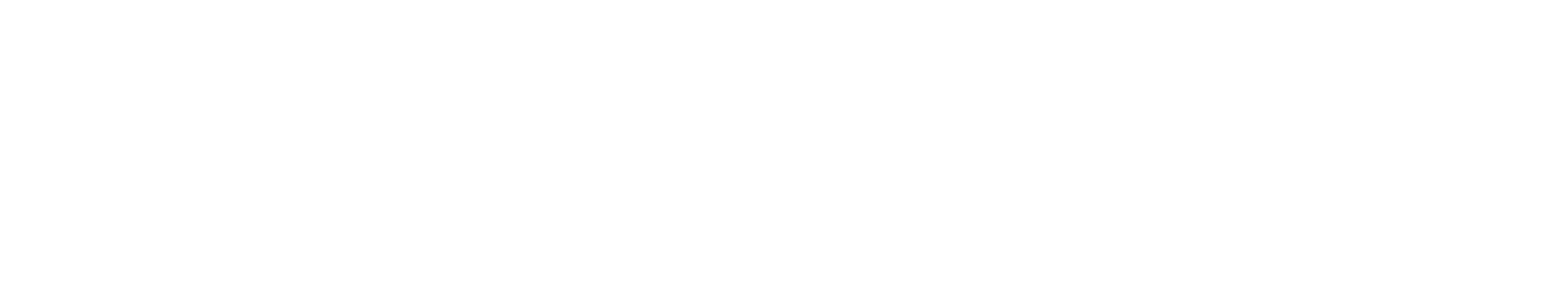 Luiss_ML_NEG_RGB.png