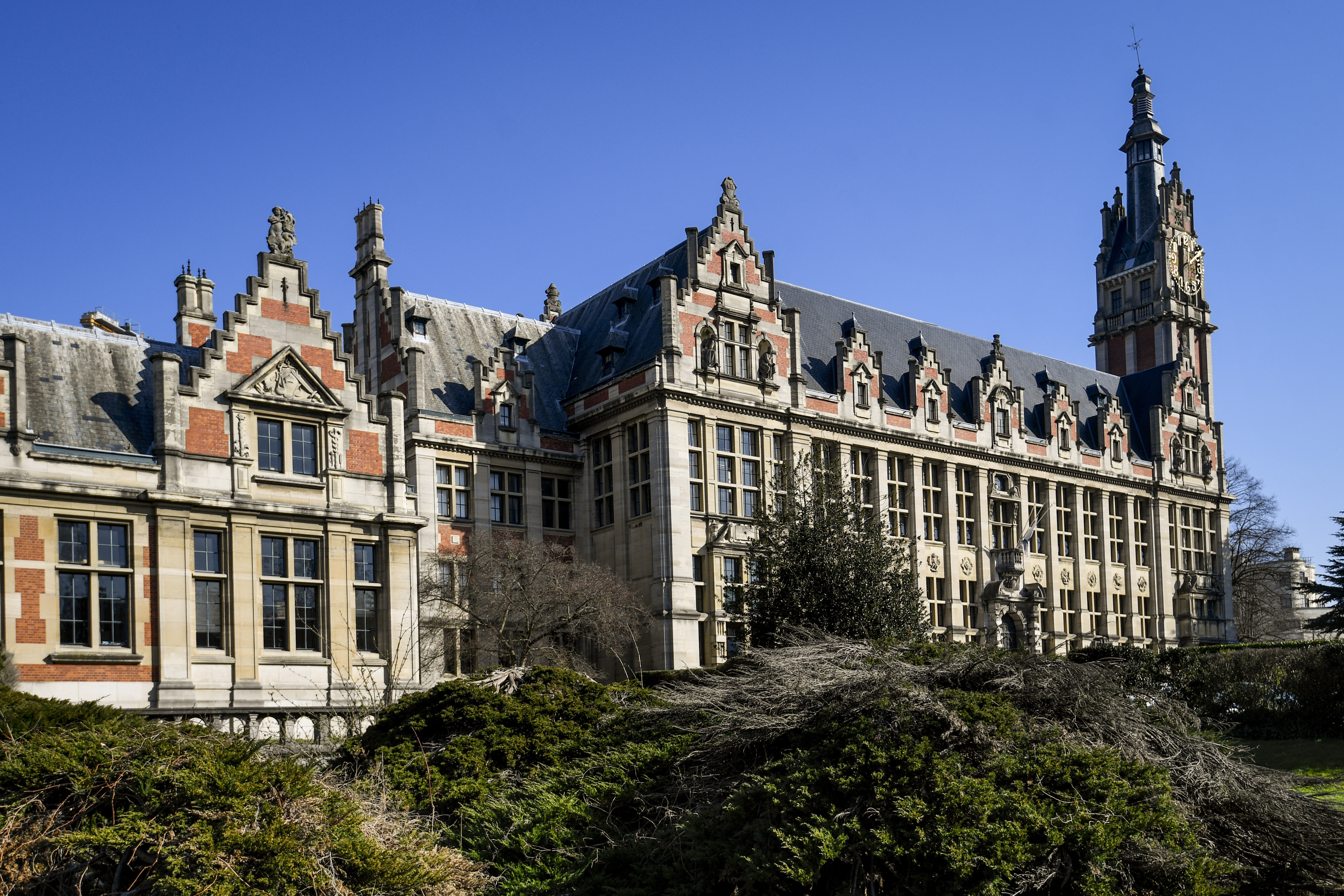 Université Libre de Bruxelles (ULB)