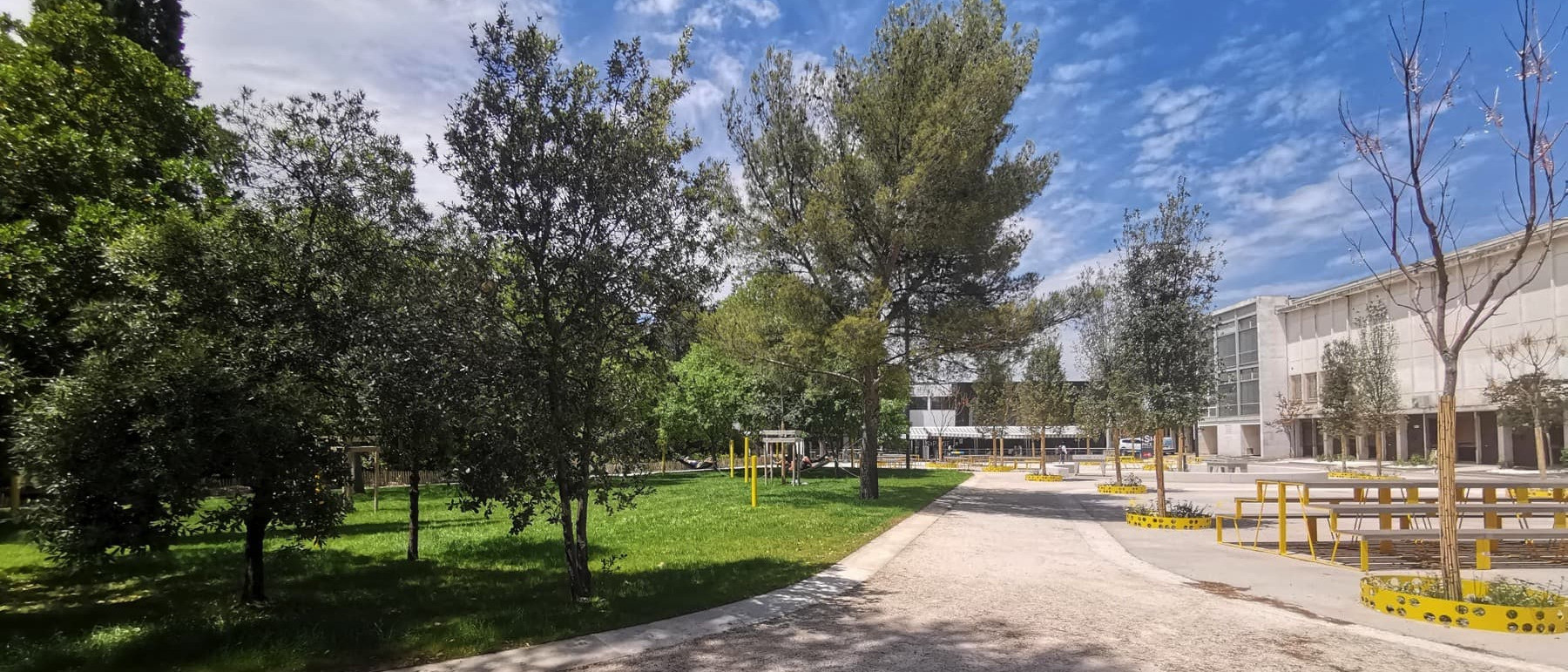 Université de Montpellier